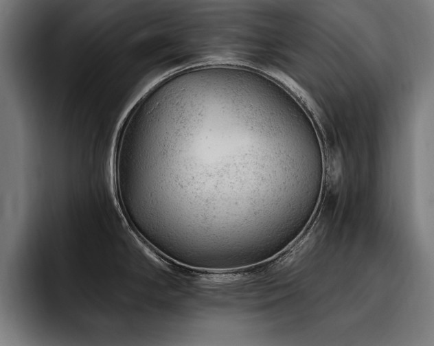 X0000093421294200710121137
