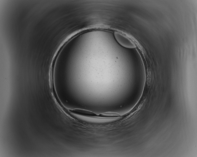 X0000093421295200710121137