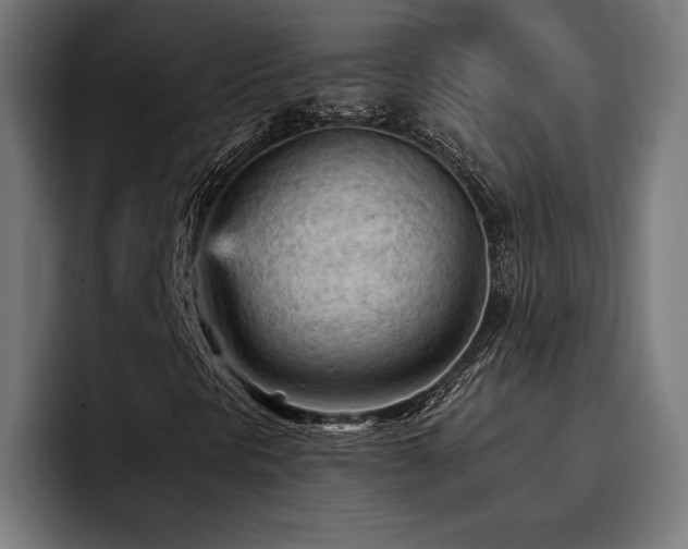 X0000093421297200710121136