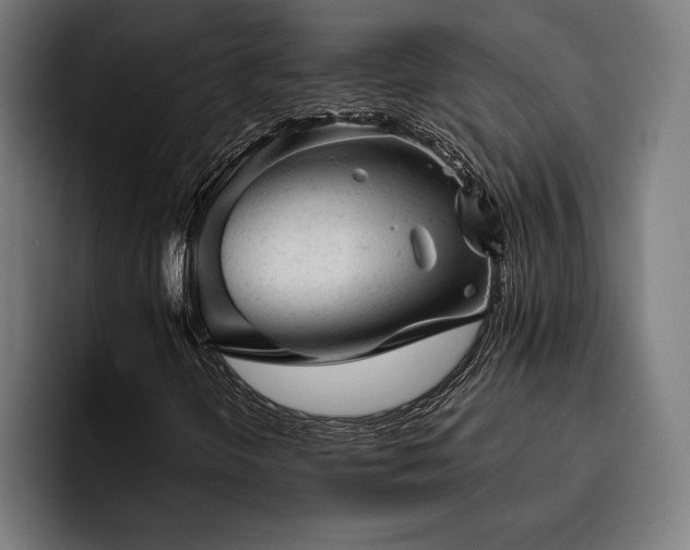 X0000093421298200710121136