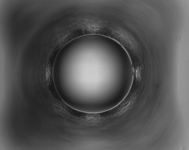 X0000093421299200710121136