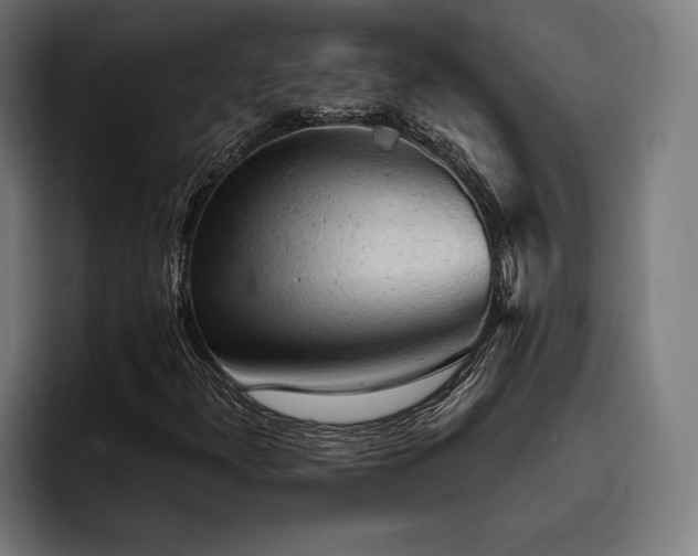 X0000093421300200710121136