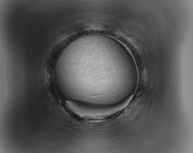X0000093421303200710121136
