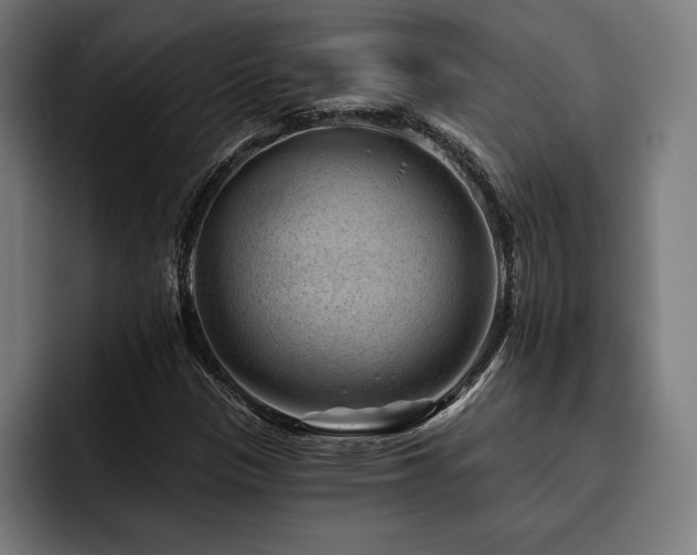 X0000093421305200710121136