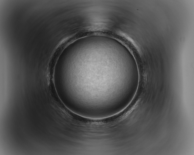 X0000093421306200710121136