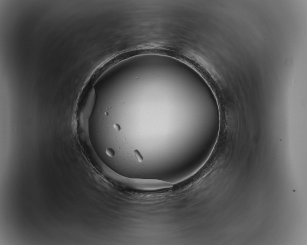 X0000093421308200710121136