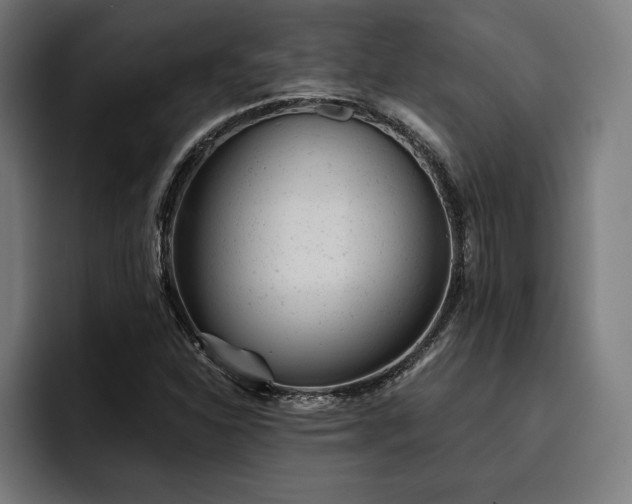 X0000093421310200710121136