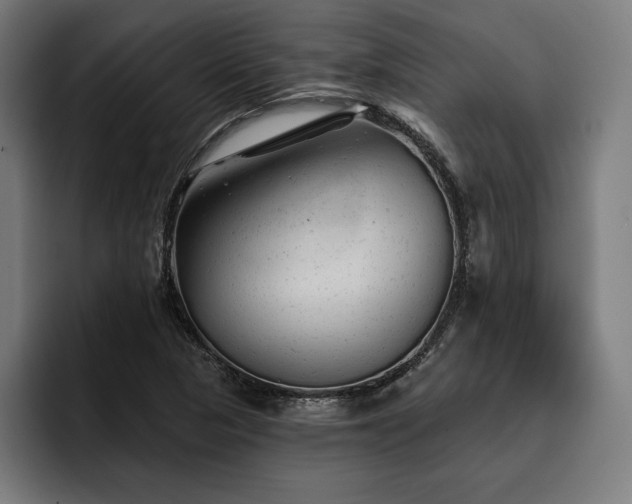 X0000093421313200710121136
