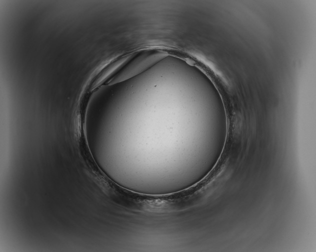 X0000093421317200710121136