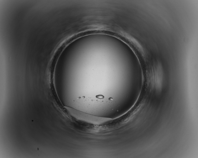 X0000093421318200710121136