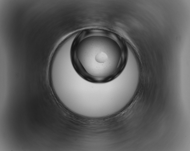 X0000093421320200710121136