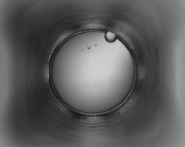 X0000093421322200710121136