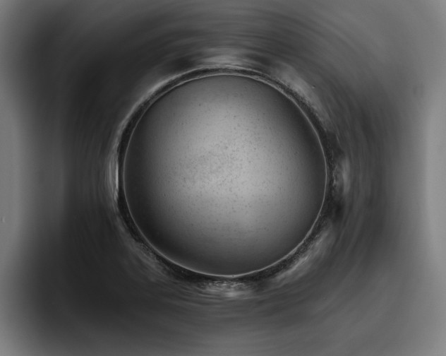X0000093421323200710121136