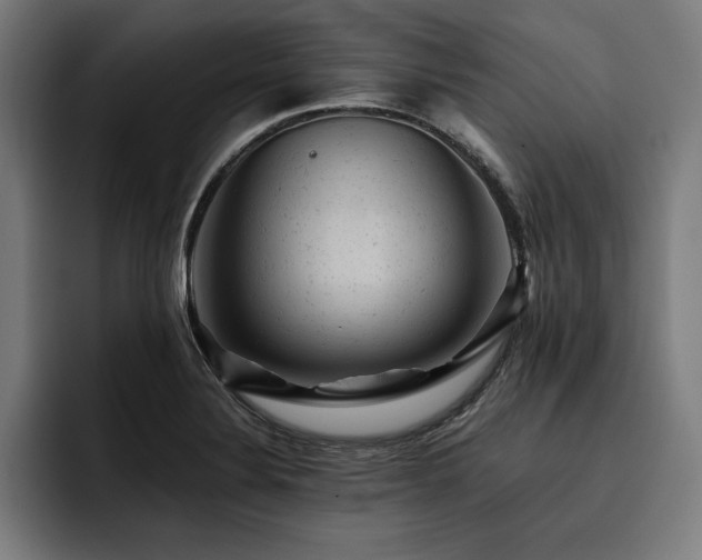 X0000093421324200710121136