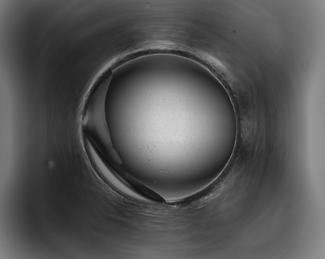 X0000093421326200710121136