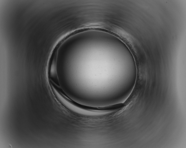 X0000093421328200710121136