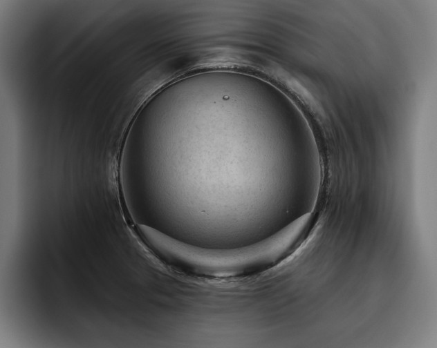 X0000093421329200710121136
