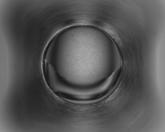 X0000093421334200710121136