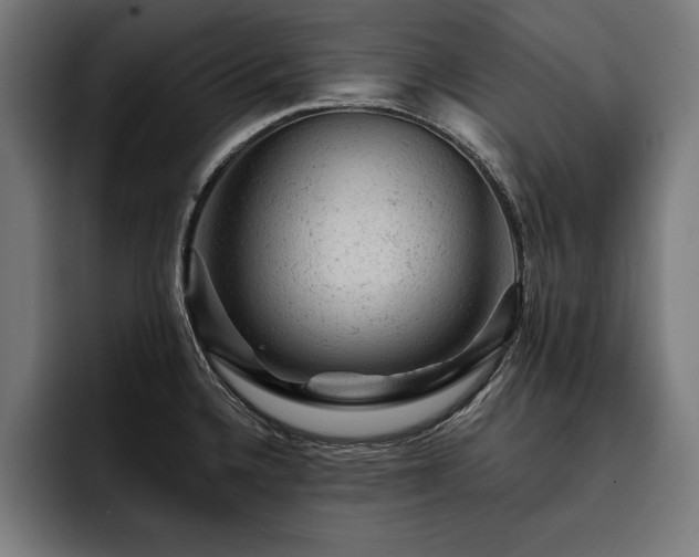 X0000093421336200710121136