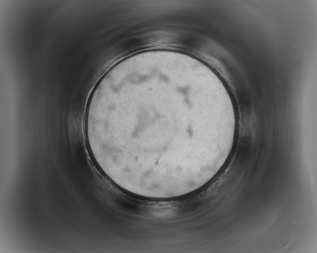 X0000093421338200710121136