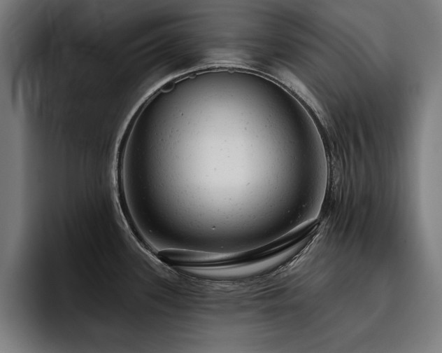 X0000093421339200710121136