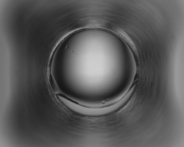 X0000093421340200710121137