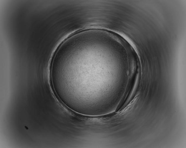 X0000093421341200710121137