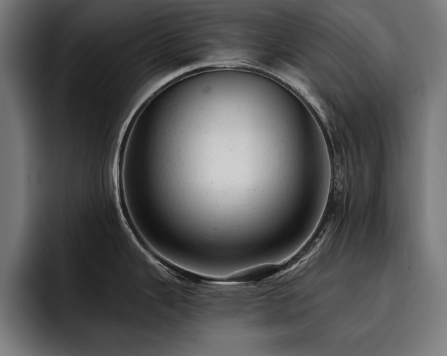 X0000093421343200710121137