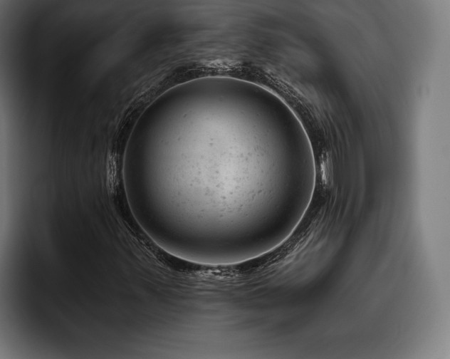 X0000093421347200710121136