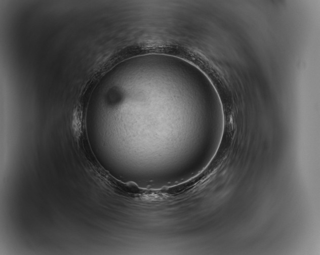 X0000093421348200710121136