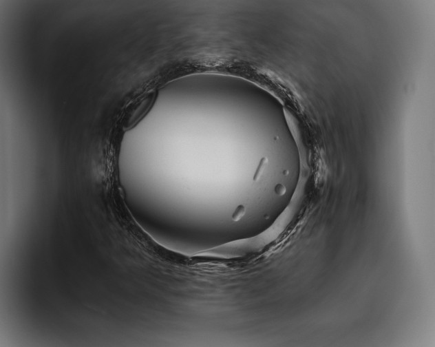 X0000093421349200710121136