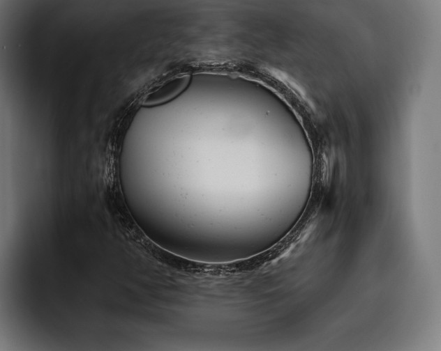X0000093421350200710121136