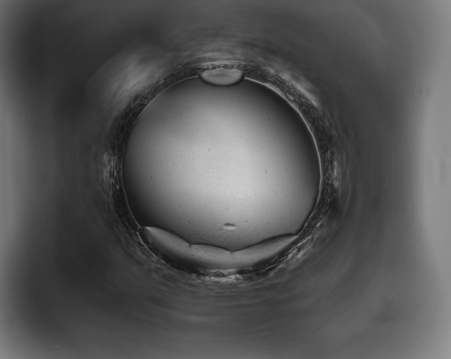 X0000093421351200710121136