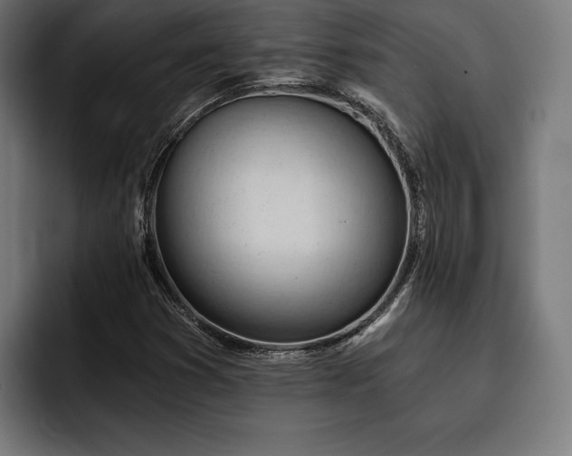 X0000093421353200710121136
