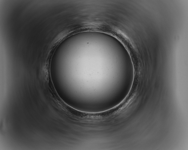 X0000093421354200710121136