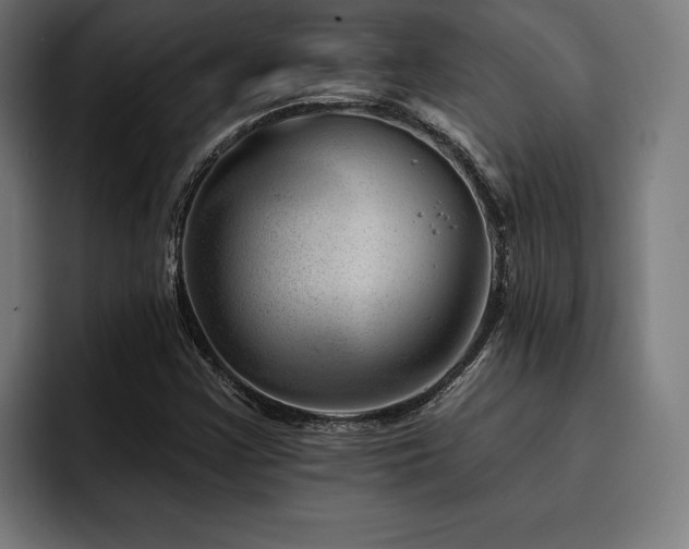 X0000093421355200710121136