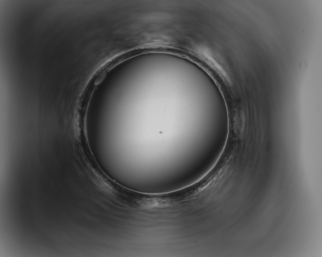 X0000093421356200710121136