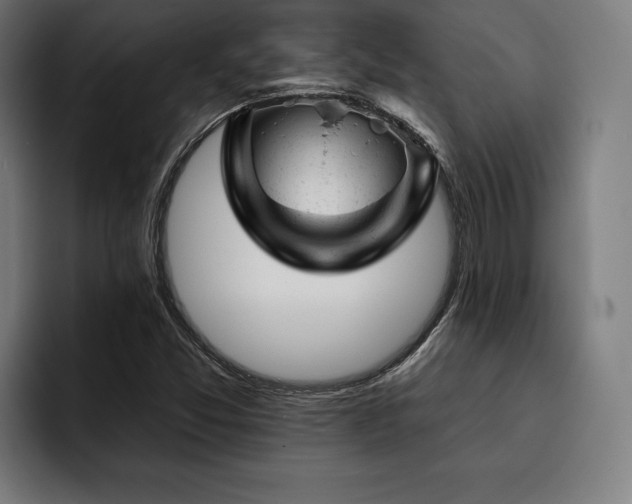 X0000093421357200710121136