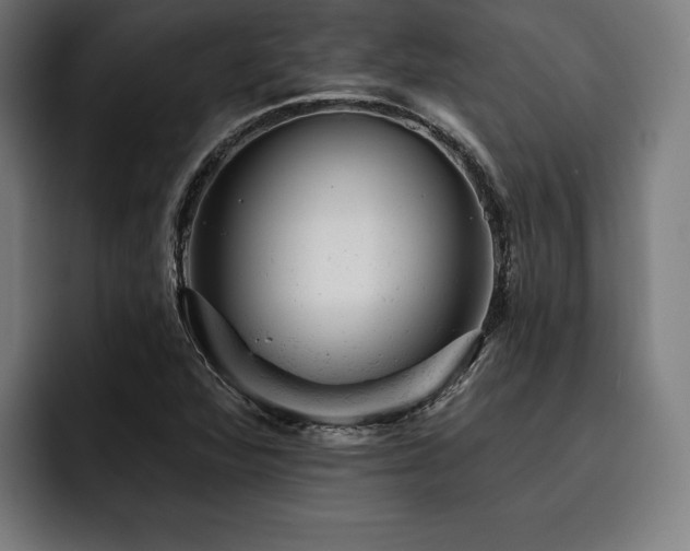X0000093421360200710121136