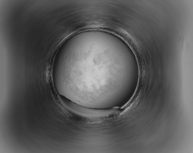 X0000093421361200710121136