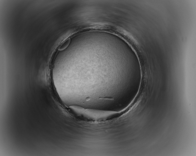 X0000093421362200710121136