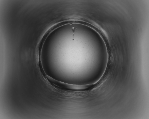 X0000093421368200710121136