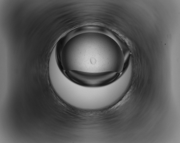 X0000093421369200710121136