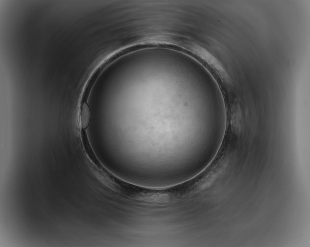 X0000093421372200710121136