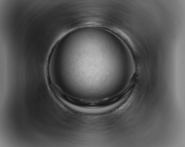 X0000093421373200710121135