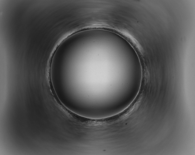 X0000093421374200710121135