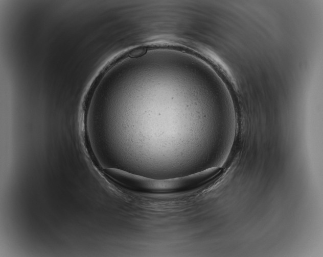 X0000093421376200710121135