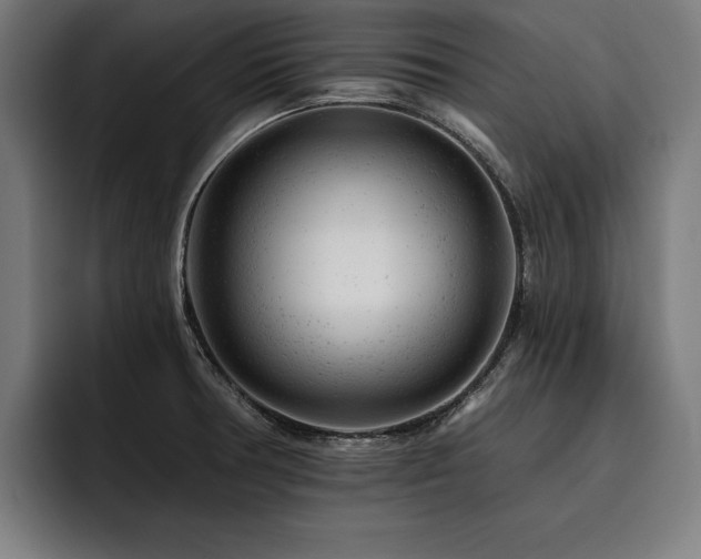 X0000093421378200710121135