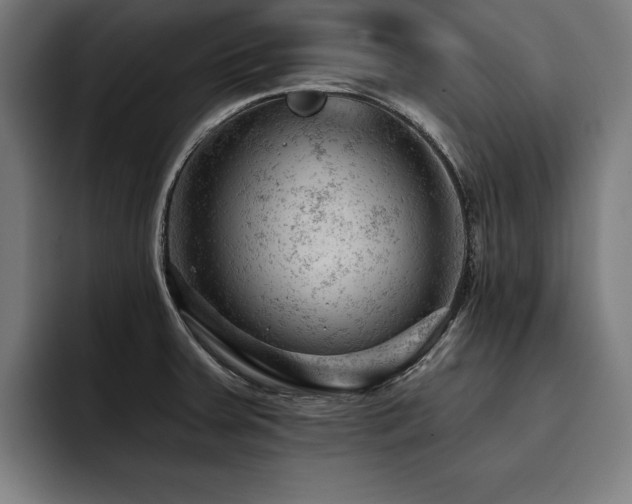 X0000093421379200710121135