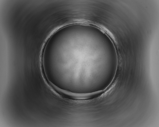 X0000093421381200710121135